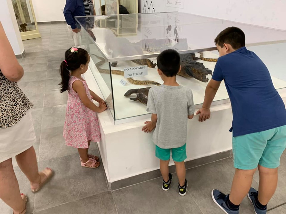 NOCHE DE LOS MUSEOS (6)