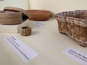 MUESTRA EN EL MUSEO DE CIENCIAS NATURALES (4)