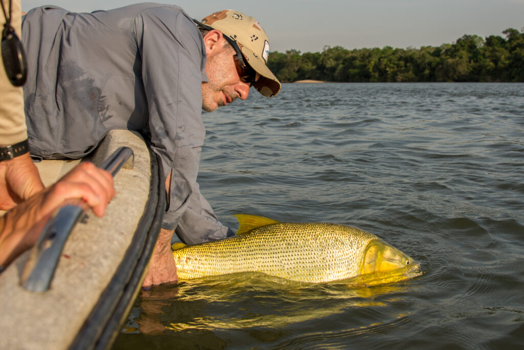 POF 2017 Article-4148