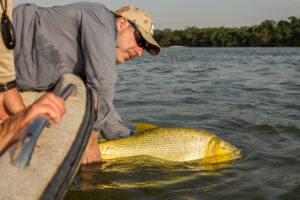 POF 2017 Article-4148