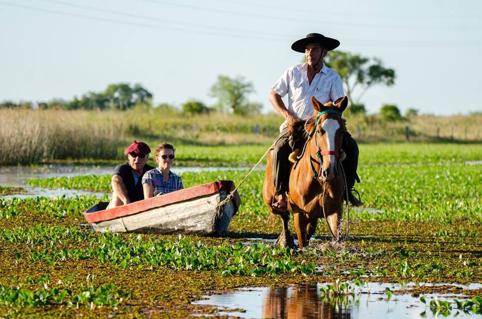 91592f42-4260-4af6-88f0-2941478e6c10