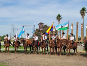 WhatsApp Image 2024-05-29 at 12.41.50 (1)