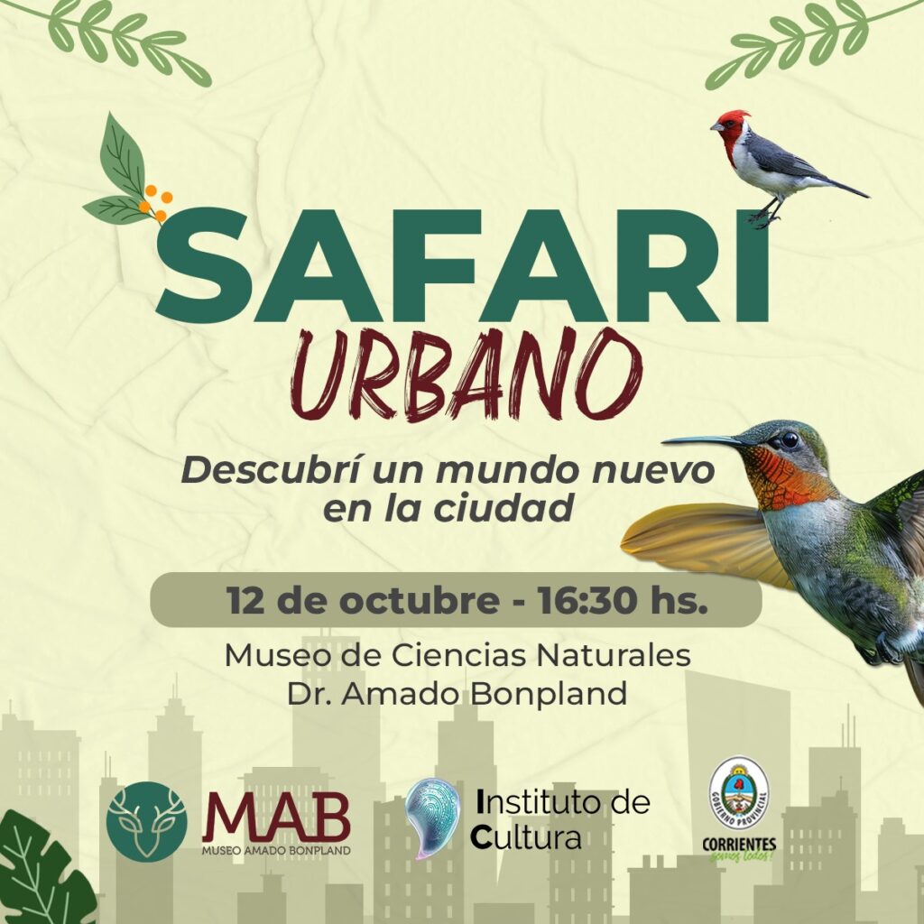 SAFARI URBANO (1)