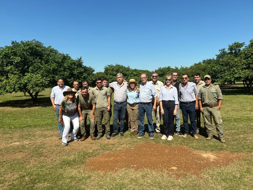 WhatsApp Image 2025-04-15 at 15.26.36