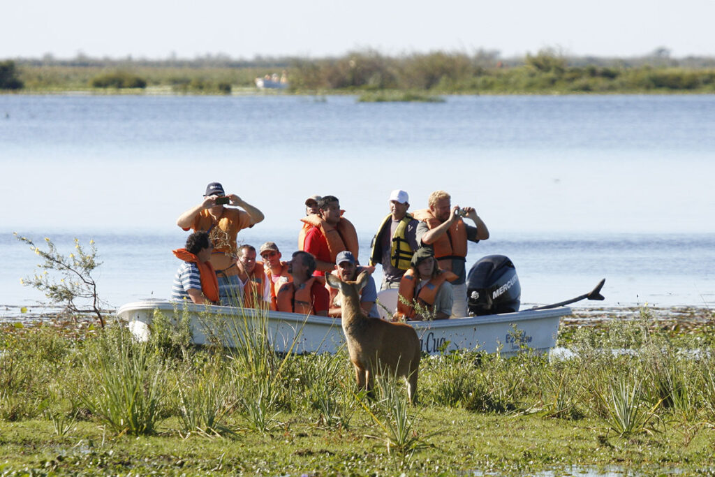 Noticias provincia corrientes