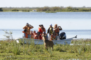 Noticias provincia corrientes