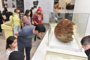 Noticias provincia corrientes